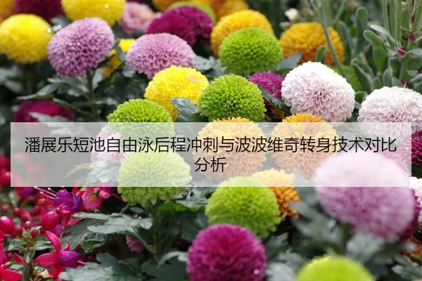 潘展乐短池自由泳后程冲刺与波波维奇转身技术对比分析