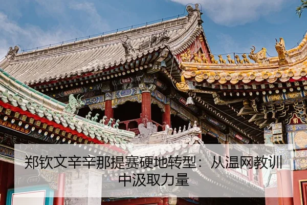 zheng-qin-wen-xin-xin-na-ti-sai-ying-di-zhuan-xing-cong-wen-wang-jiao-xun-zhong-ji-qu-li-liang-3-765.jpg
