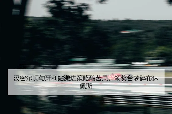 han-mi-er-dun-xiong-ya-li-zhan-ji-jin-ce-lve-niang-ku-guo-ling-jiang-tai-meng-sui-bu-da-pei-si-2-995.jpg