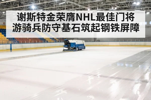ice hockey arena