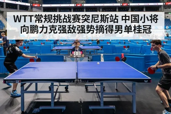 table tennis match action