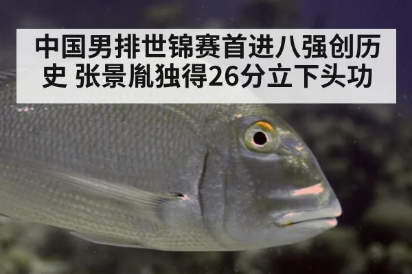 中国男排世锦赛首进八强创历史 张景胤独得26分立下头功